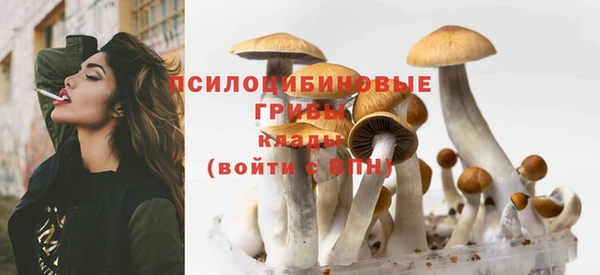 тгк Баксан