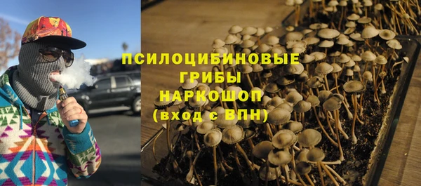 ГАЛЛЮЦИНОГЕННЫЕ ГРИБЫ Покровск