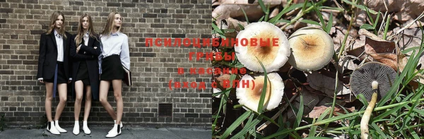 Альфа ПВП Балабаново