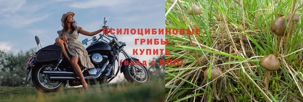 а пвп мука Балахна