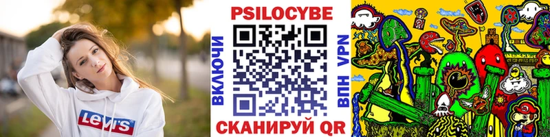 Псилоцибиновые грибы мицелий  Колпашево 